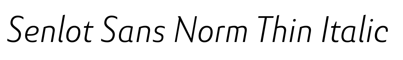 Senlot Sans Norm Thin Italic